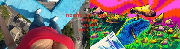 бошки Баксан