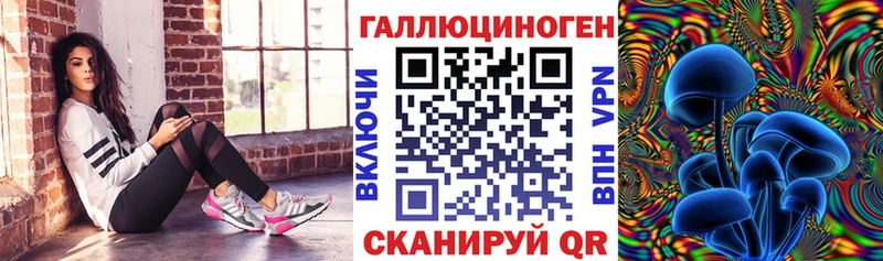 Галлюциногенные грибы Cubensis  Юрьев-Польский 